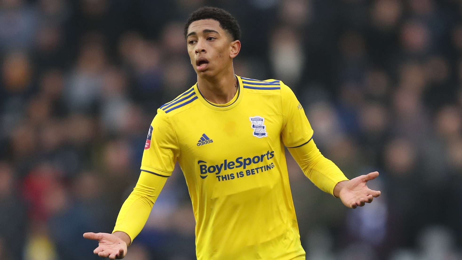 加强阵容灵 加强阵容灵