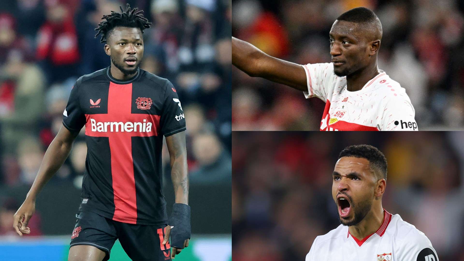 经过多年系 经过多年系